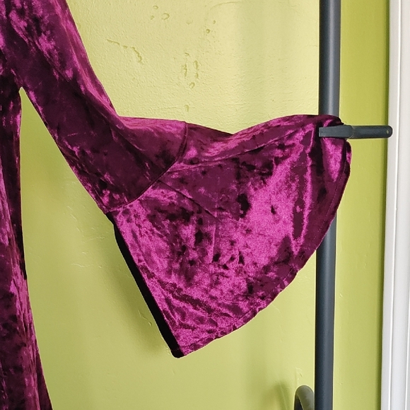 Eliza J Dress In Raspberry Velvet - Picture 4 of 8